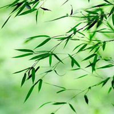 美媒：唐斯总决赛场均19.5+12.5+4 他赢得FMVP的赔率目前仅列第二